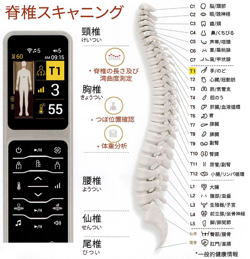 その日の体調で選べる最大30分のプログラム17種